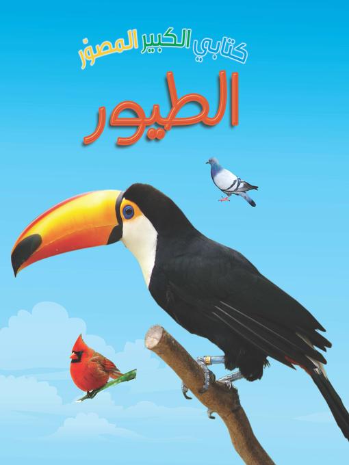 Cover of كتابي الكبير المصور. الطيور